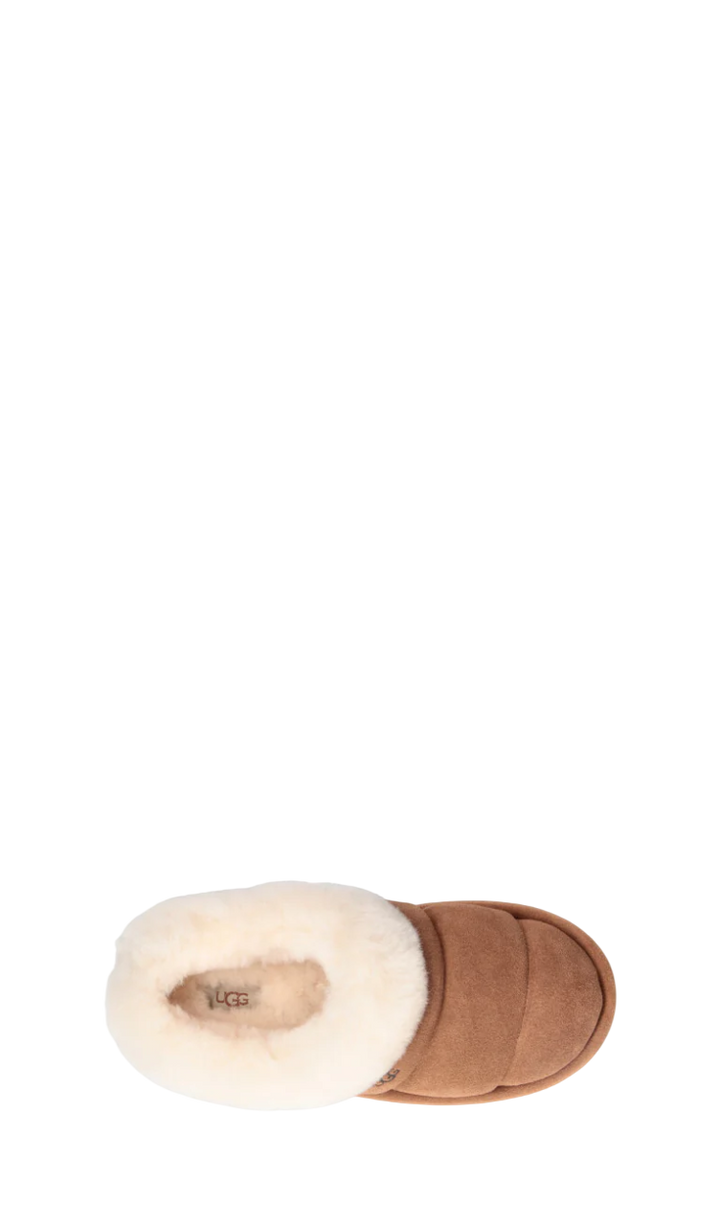 UGG - TAZZLITA Ugg donna chestnut in suede
