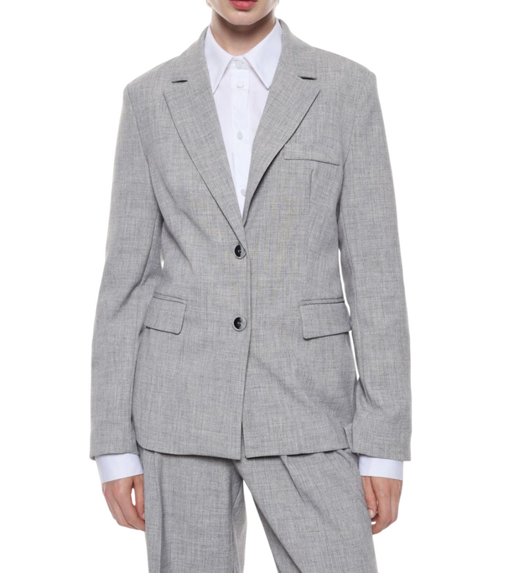 Blazer da donna monopetto grigio