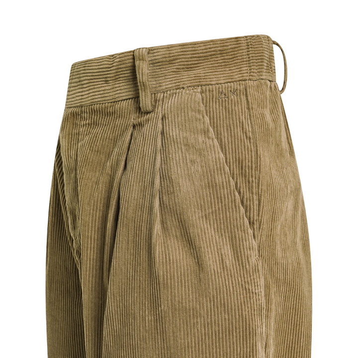 Pantaloni da donna in velluto con pinces beige